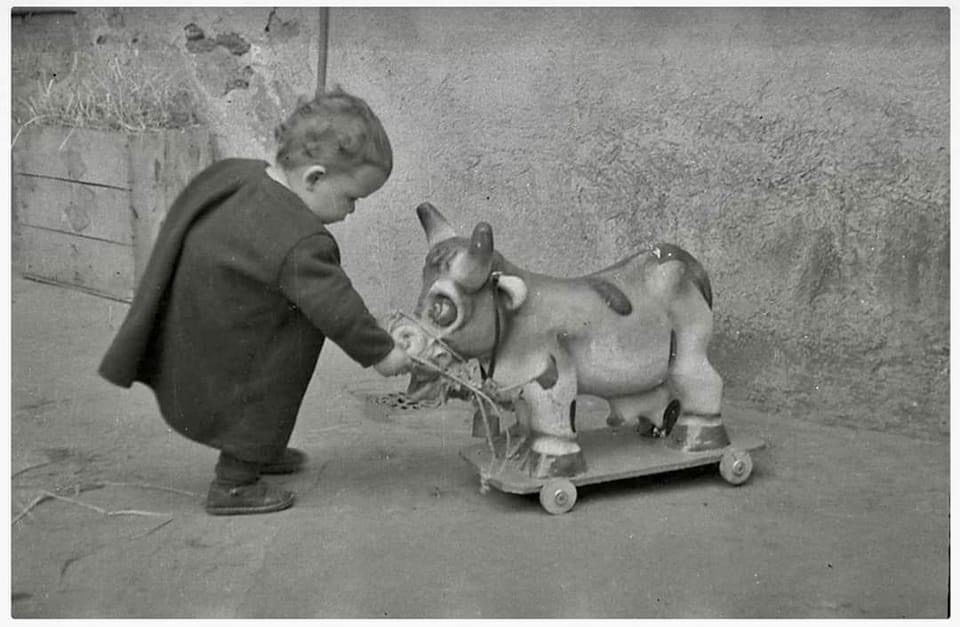Niño jugando con vaca de juguete con ruedas. Museo del Juguete de Barbadillo